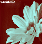 MMS ~
